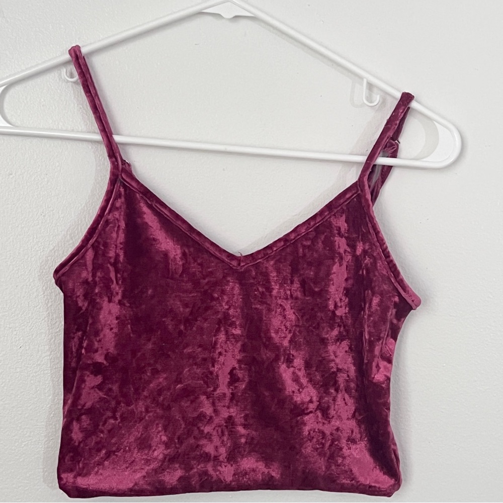 Forever 21 Velvet V-Neck Crop Top